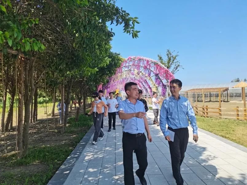 免费色情片