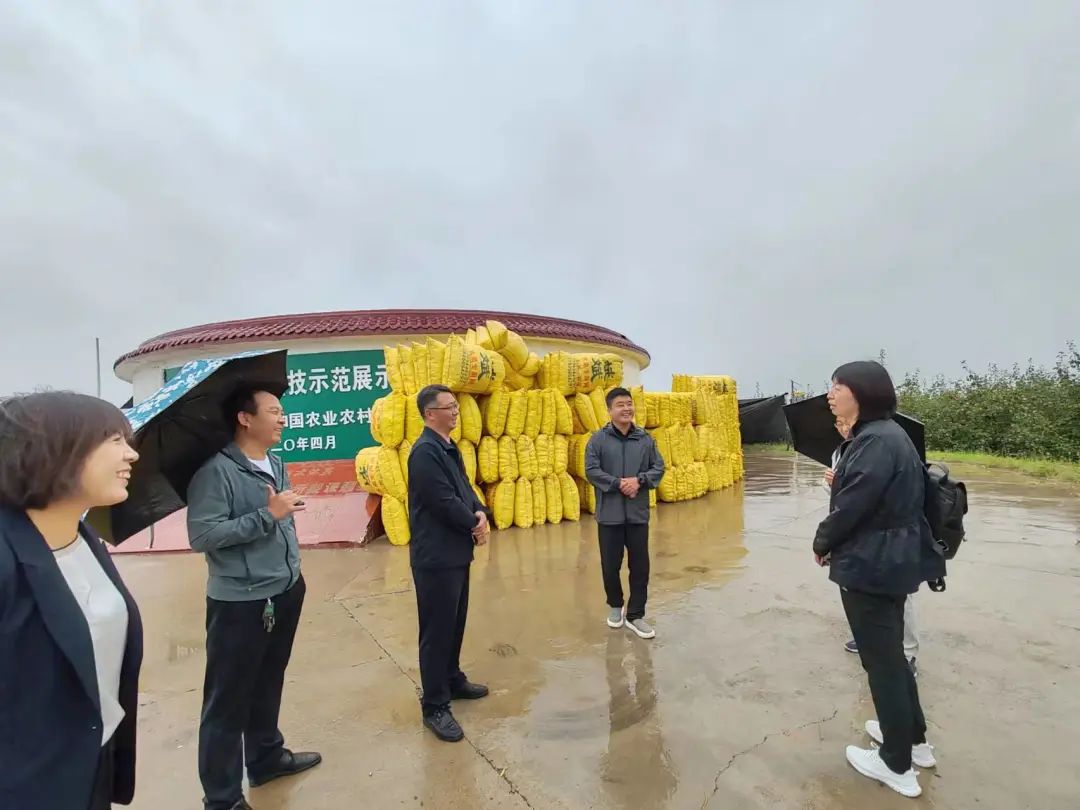 免费色情片