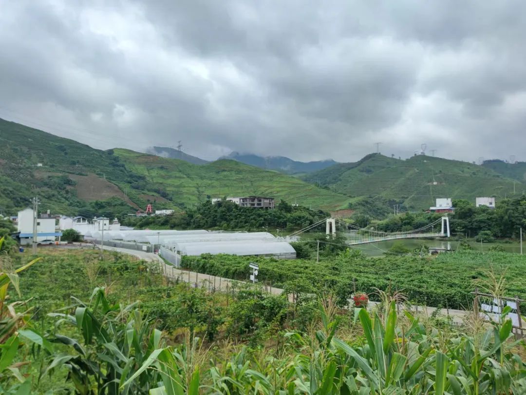 免费色情片