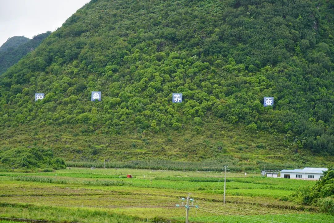 免费色情片