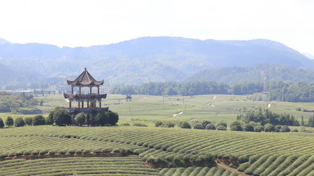 免费色情片