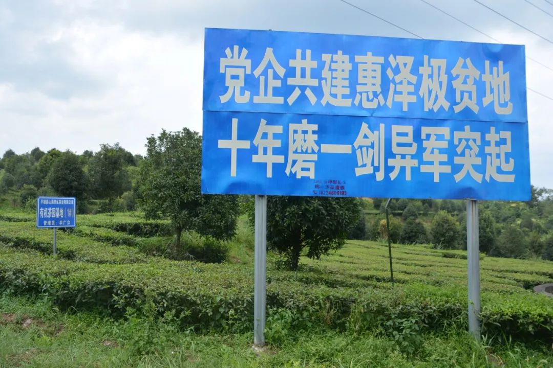 免费色情片