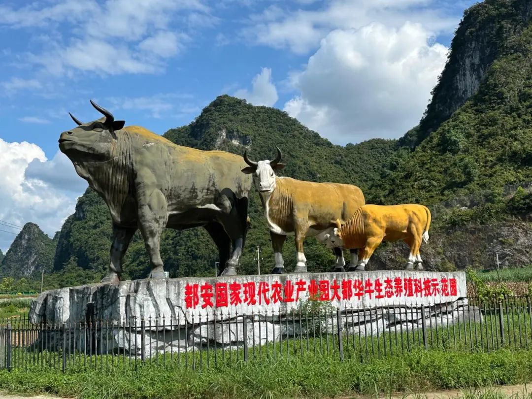 免费色情片