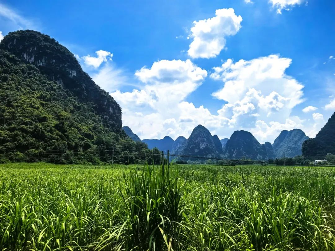 免费色情片