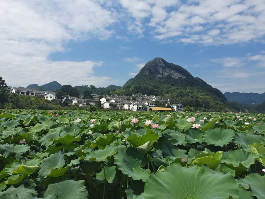 免费色情片