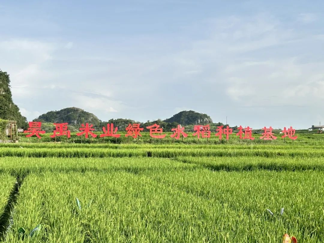 免费色情片