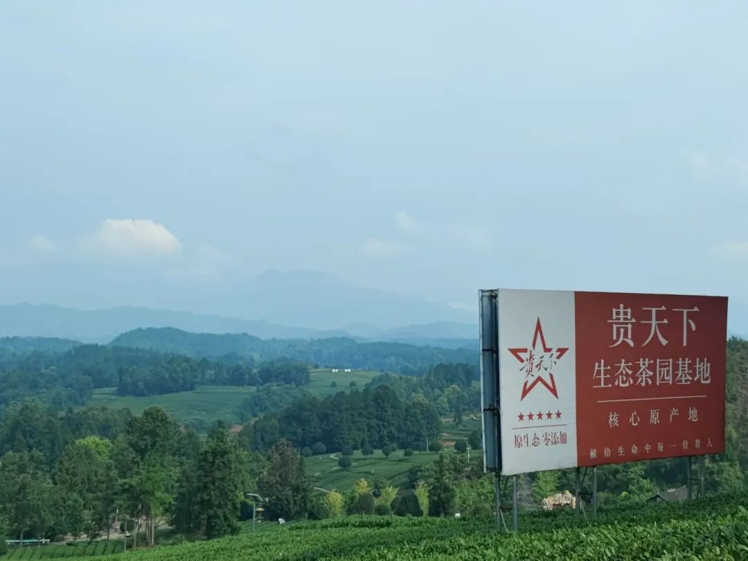 免费色情片