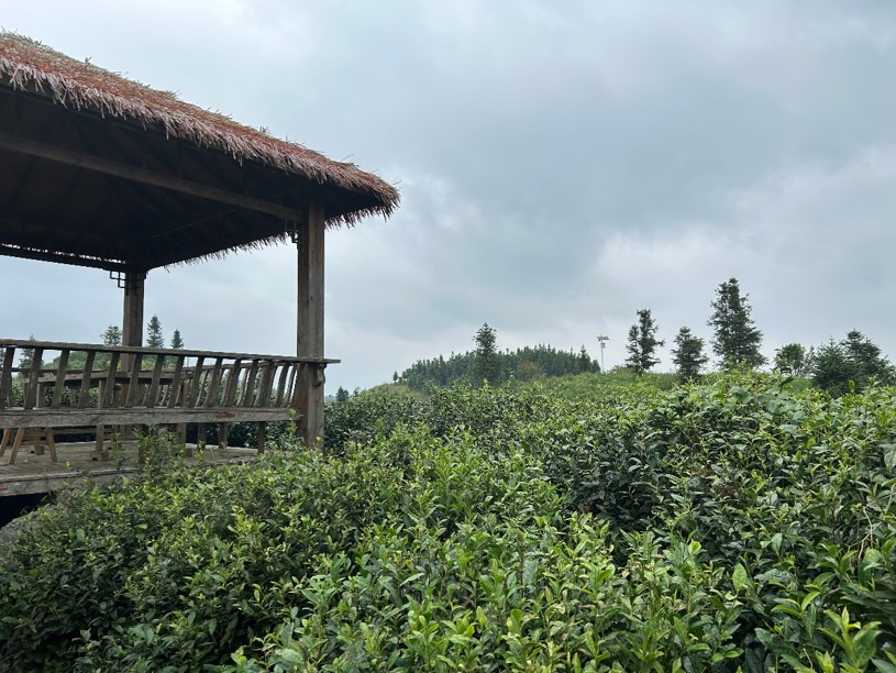 免费色情片