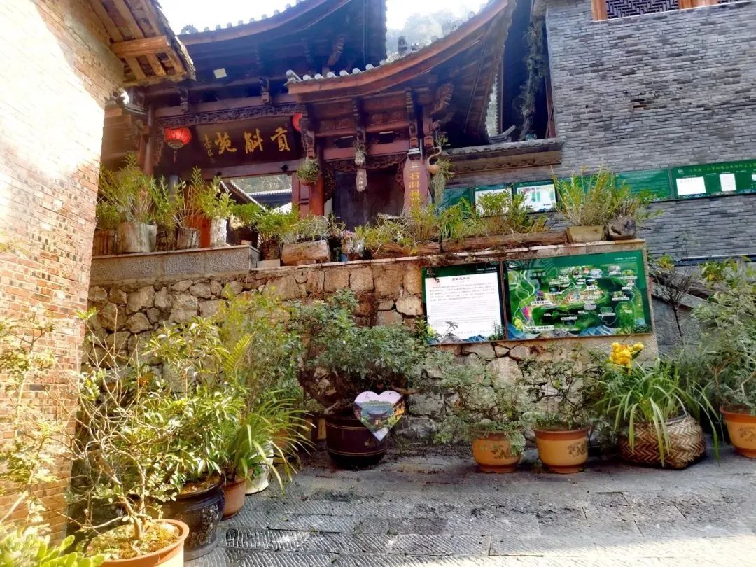 免费色情片